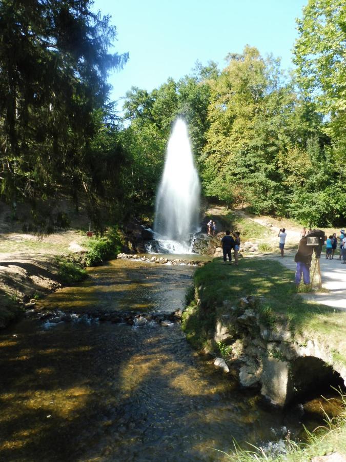 Camping Le Moulin Du Roy Revel  Bagian luar foto